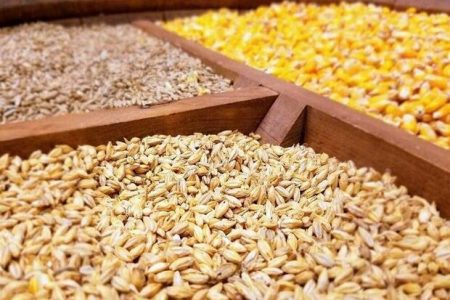 مبارزه با فساد واردات و توزیع نهاده های دامی
