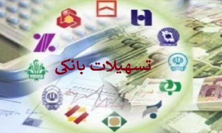 ۶۷ درصد تسهیلات بانکی هزینه سرمایه در گردش