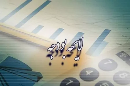 لایحه بودجه ۱۴۰۱ با حداقل ردیف به مجلس می رود