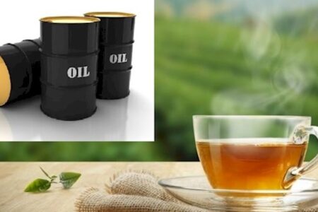 طلب ۲۵۱ میلیون دلاری نفتی ایران از سریلانکا تسویه می شود