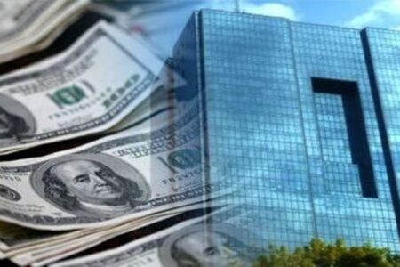 چه راه حلی برای مهار نوسان بازار ارز وجود دارد؟