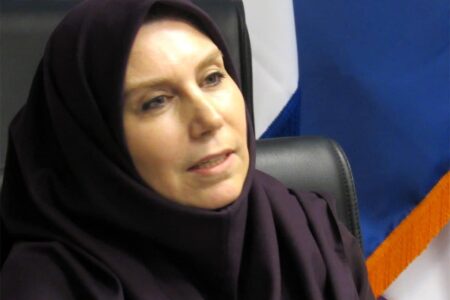 شرکت‌های بیمه با حجم زیادی از ریسک روبرو هستند