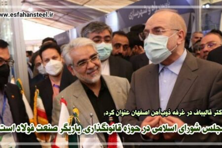 مجلس شورای اسلامی در حوزه قانونگذاری، یاریگر صنعت فولاد است