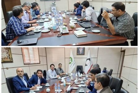 بازبینی برنامه تحول راهبردی کزغال