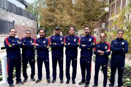 شش مدال رنگارنگ حاصل تلاش شناگران فولاد خوزستان در مسابقات ایمیدرو