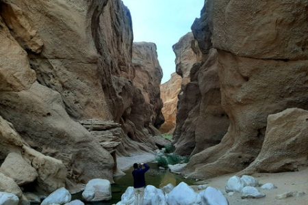 ژئوپارک طبس ثبت جهانی شد