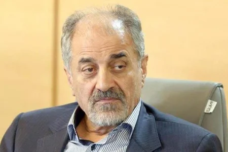 محدودیت گاز در صنعت فولاد به اشتغالزایی و ارز آوری کشور لطمه می زند