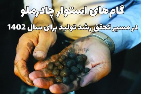 برنامه چادرملو برای تحقق رشد تولید در ۱۴۰۲