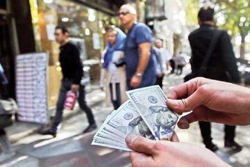 تصدیگری کامل دولت در بازار ارز؟!