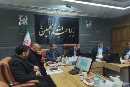 محتشمی‌پور: مجوزهای اکتشافات معدنی به سرعت در حال کاهش است