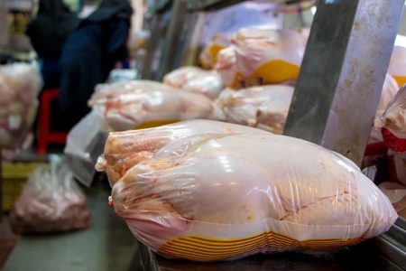 بازگشت قیمت مرغ به مرز آرامش