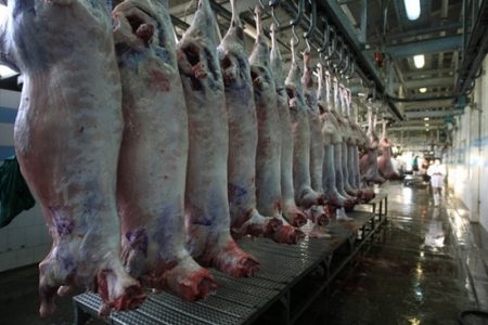 ارسال اولین محموله گوشت گرم گوسفندی از کنیا به ایران