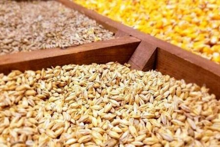 جزئیات قیمت ارزی واردات کالاهای اساسی اعلام شد
