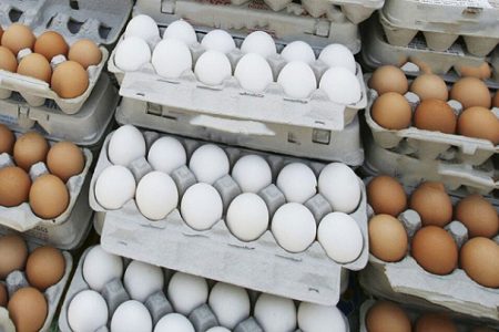 چراغ سبز وزارت کشاورزی برای افزایش قیمت تخم‌ مرغ