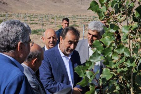 سرمایه گذاری های حوزه کشاورزی منطقه آزاد ماکو افتخارآمیز است