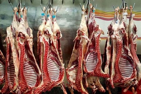 روند قیمت گوشت قرمز در بازار نزولی شد