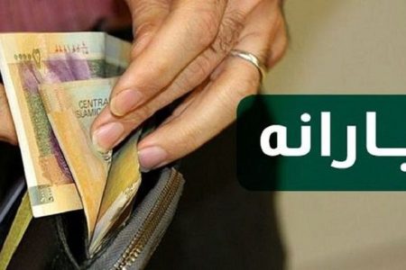 رونمایی وزیر رفاه از یارانه ۴ میلیونی ویژه مادران