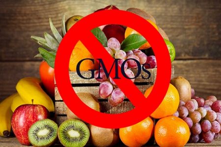 مجلس ممنوعیت کشت محصولات تراریخته در کشور را تصویب کرد