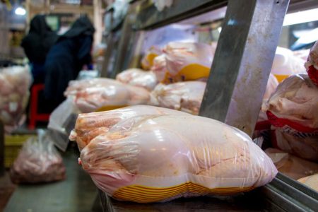 منتظر کاهش قیمت مرغ از ۲ هفته دیگر باشید