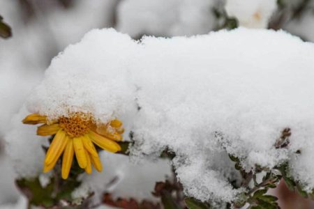 هواشناسی ۲۸ بهمن؛ تداوم بارش برف و باران در این ۲۵ استان