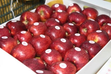 خبر مهم برای صادرکنندگان سیب درختی
