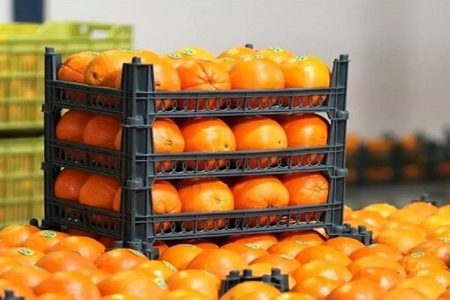 زمان عرضه میوه شب عید در میادین تره‌بار اعلام شد
