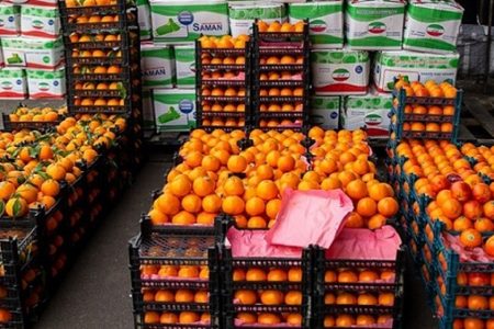 آغاز عرضه تنظیم بازاری این میوه‌ها در ۲۵ استان