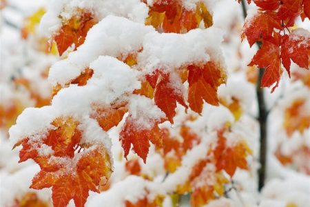 هشدار نارنجی هواشناسی برای این ۱۱ استان