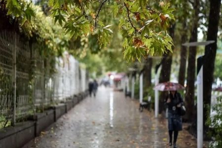 هواشناسی ۲۵ فروردین؛ آغاز رگبار باران و وزش باد شدید در این استان‌ها