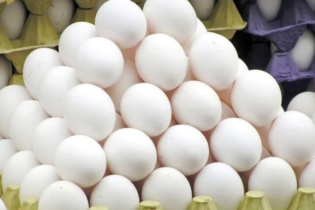 قیمت هر کیلو تخم‌مرغ در واحدهای تولیدی چند شد؟