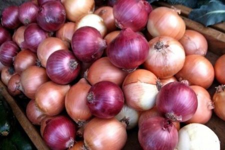 قیمت پیاز در میادین تره‌بار چقدر شد؟