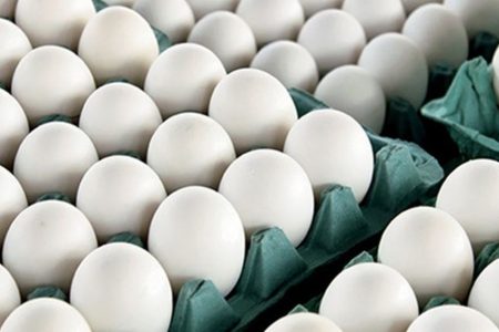 قیمت تخم مرغ در میادین تره‌بار تهران