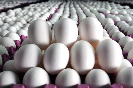 قیمت مصوب هر کیلو تخم‌مرغ برای مصرف‌کننده چند؟