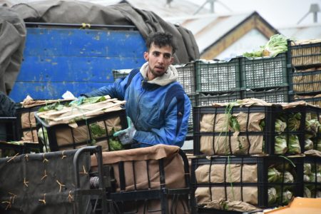قیمت میوه و سبزیجات در میادین تره‌بار تهران +جدول