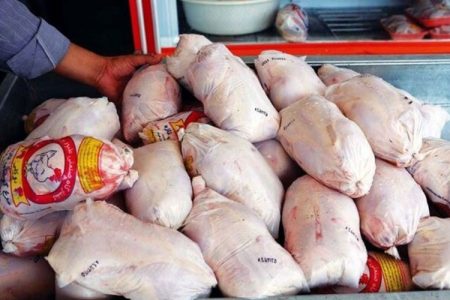 صادرات مرغ از امروز آزاد شد
