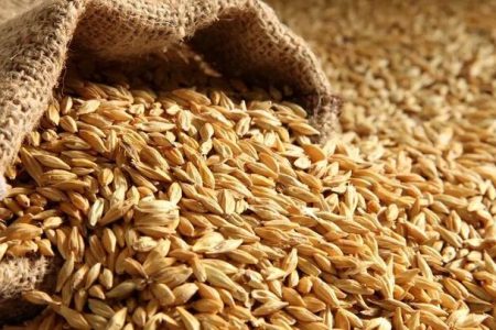 نرخ خرید تضمینی جو کیلویی چند شد؟