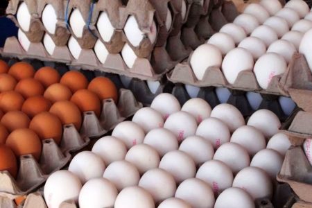 قیمت تخم مرغ امروز (شنبه ۲۶ خرداد) + جدول