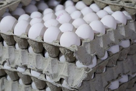 قیمت تخم‌مرغ در میادین تره‌بار تهران ارزان شد