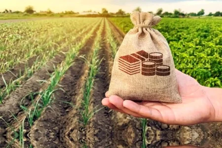 آغاز ثبت نام وام ۲۰۰ میلیونی کشاورزان + جزئیات