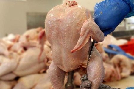 قیمت گوشت مرغ امروز ۵ شهریور چقدر ارزان شد؟+ جزییات