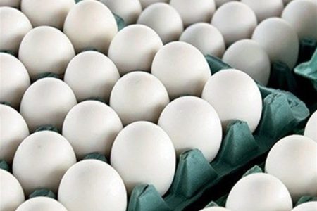 قیمت تخم مرغ در بازار روز امروز (۲ مهر)+جدول