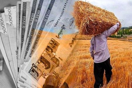 خبر خوش برای گندم‌کاران؛ پرداخت مطالبات آغاز شد