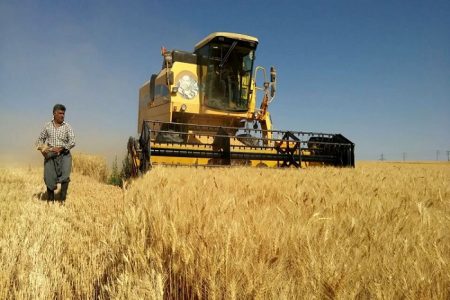 بودجه خرید تضمینی گندم در سال 1404 اعلام شد