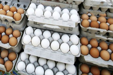 قیمت تخم مرغ امروز (۱۰ مهر) در بازار روز چند؟