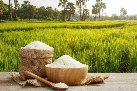 قیمت تضمینی برنج در سال زراعی جدید کیلویی چند شد؟