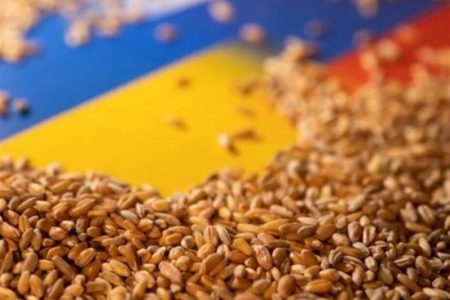 این محصولات کشاورزی باید مالیات و عوارض پرداخت کنند