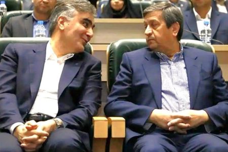 مذاکره وزیر اقتصاد با فرزین برای کاهش نرخ سود
