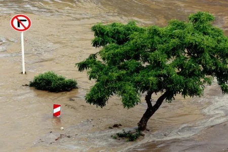 هشدار زرد بارش‌های شدید هواشناسی برای این استان شمالی