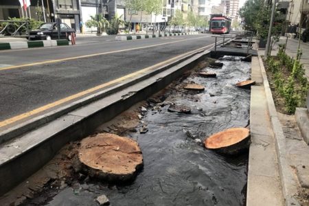 قطع درختان خیابان ولی عصر اجتناب‌ناپذیر است