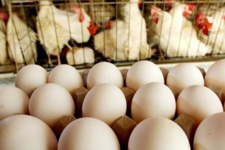حداکثر قیمت تخم‌مرغ چقدر است ؟